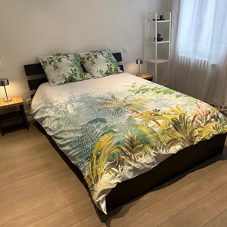 Salutho Hotel Sélestat Kültér fotó